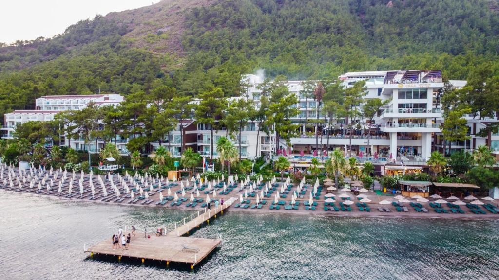 Orka Sun Life